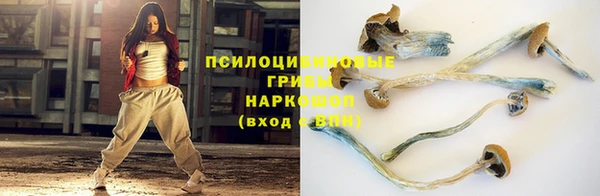 спиды Алексеевка