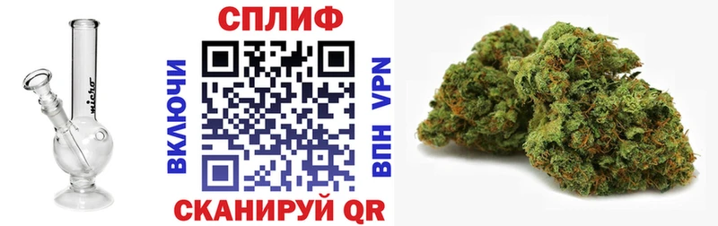 Бошки Шишки планчик Звенигово